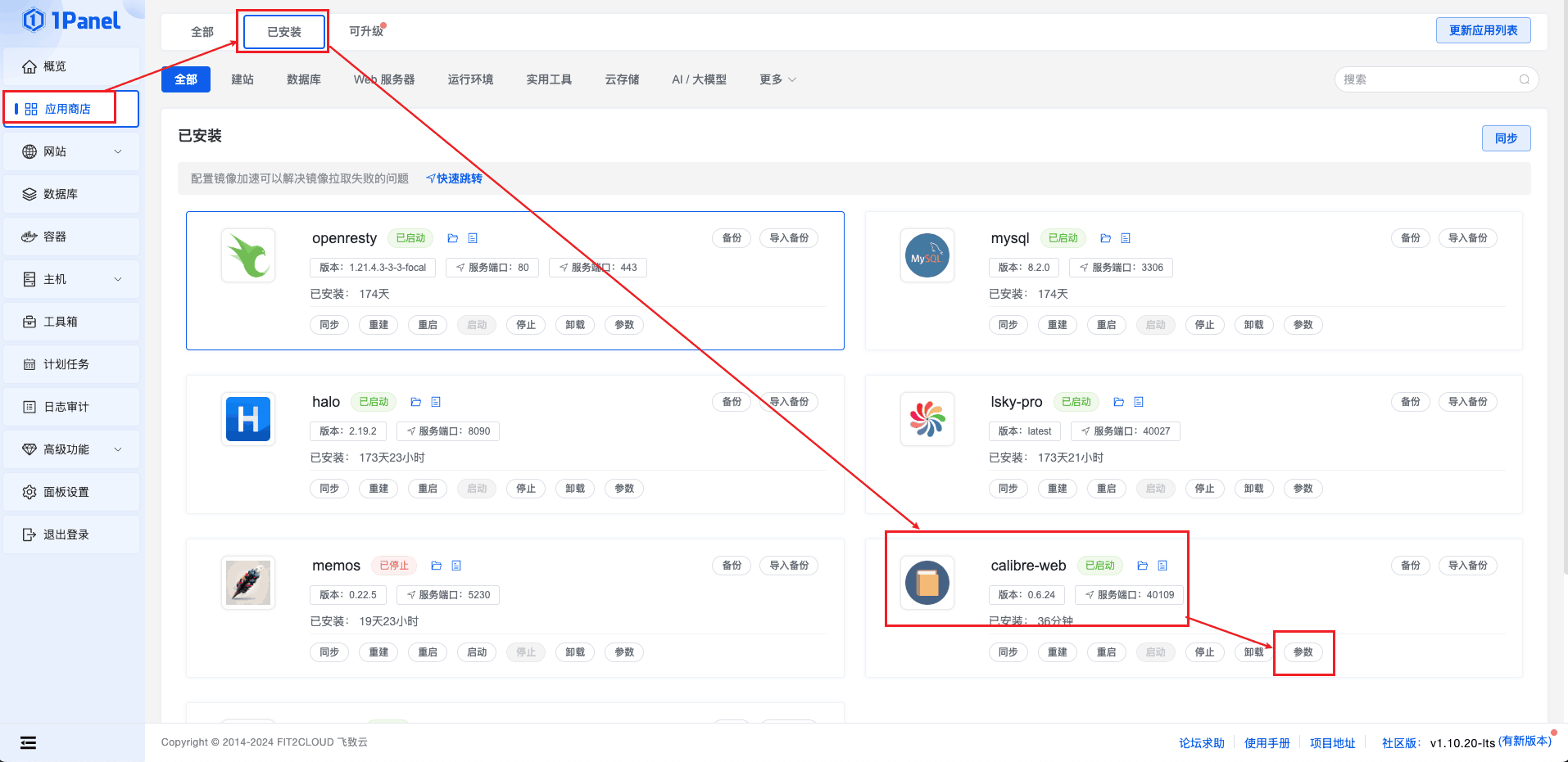 image-20241211155953729